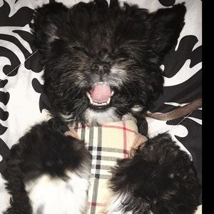 Meet your Posher, Matthew