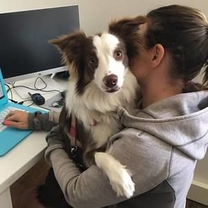 Meet your Posher, Robin