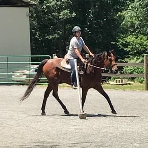 Meet your Posher, Sierra