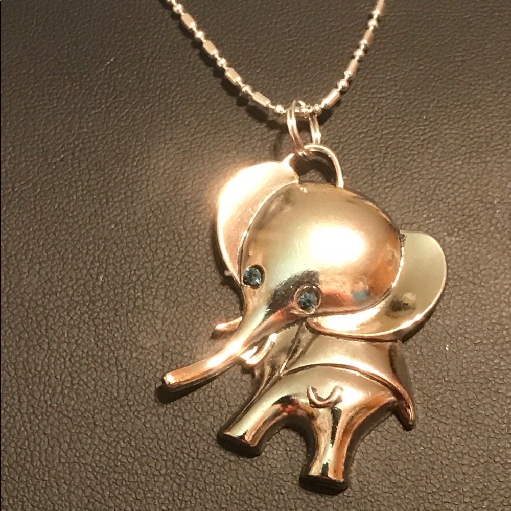 Blue 🐘Eyed Tibetan Silver Elephant 🐘