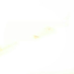 Meet your Posher, Stefanie