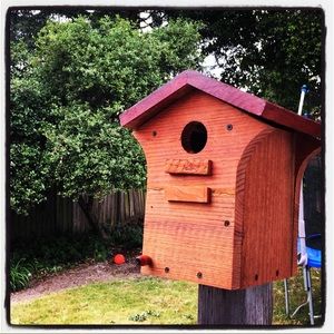 Meet your Posher, Rosie