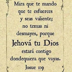 Meet your Posher, Eva