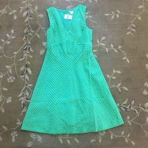 J.Crew Dress