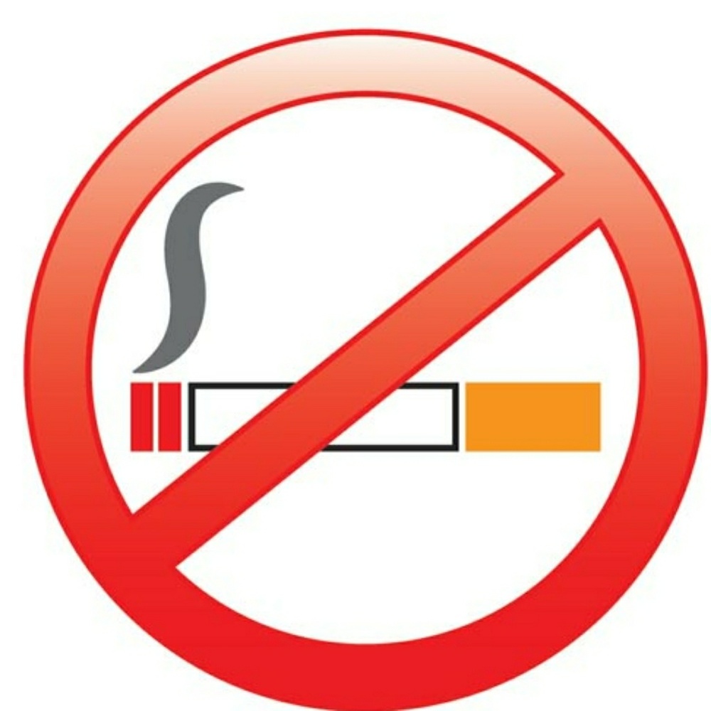 Smoke Free & Cat Friendly Home