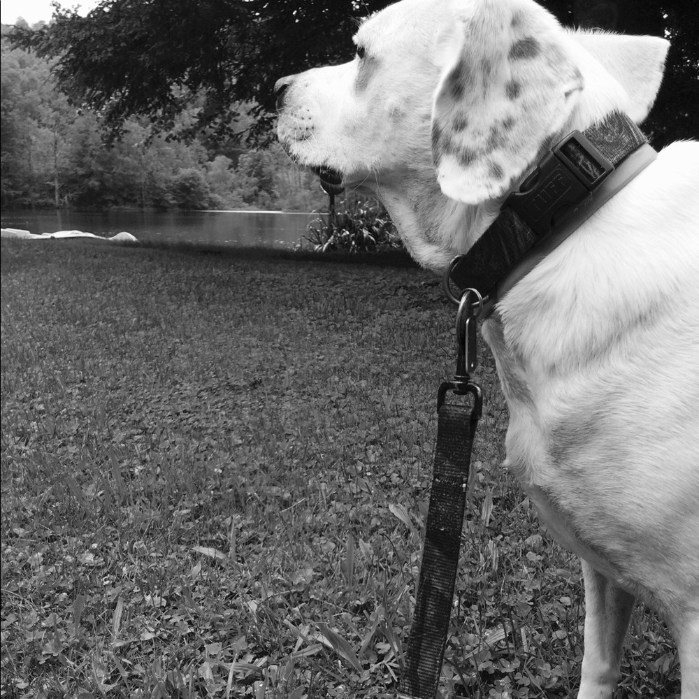 Meet your Posher, Meagan