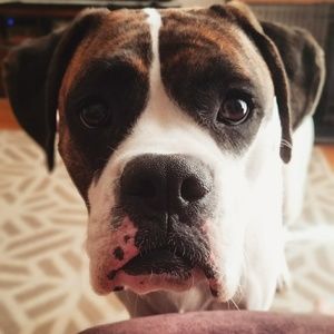 Meet your Posher, Miranda