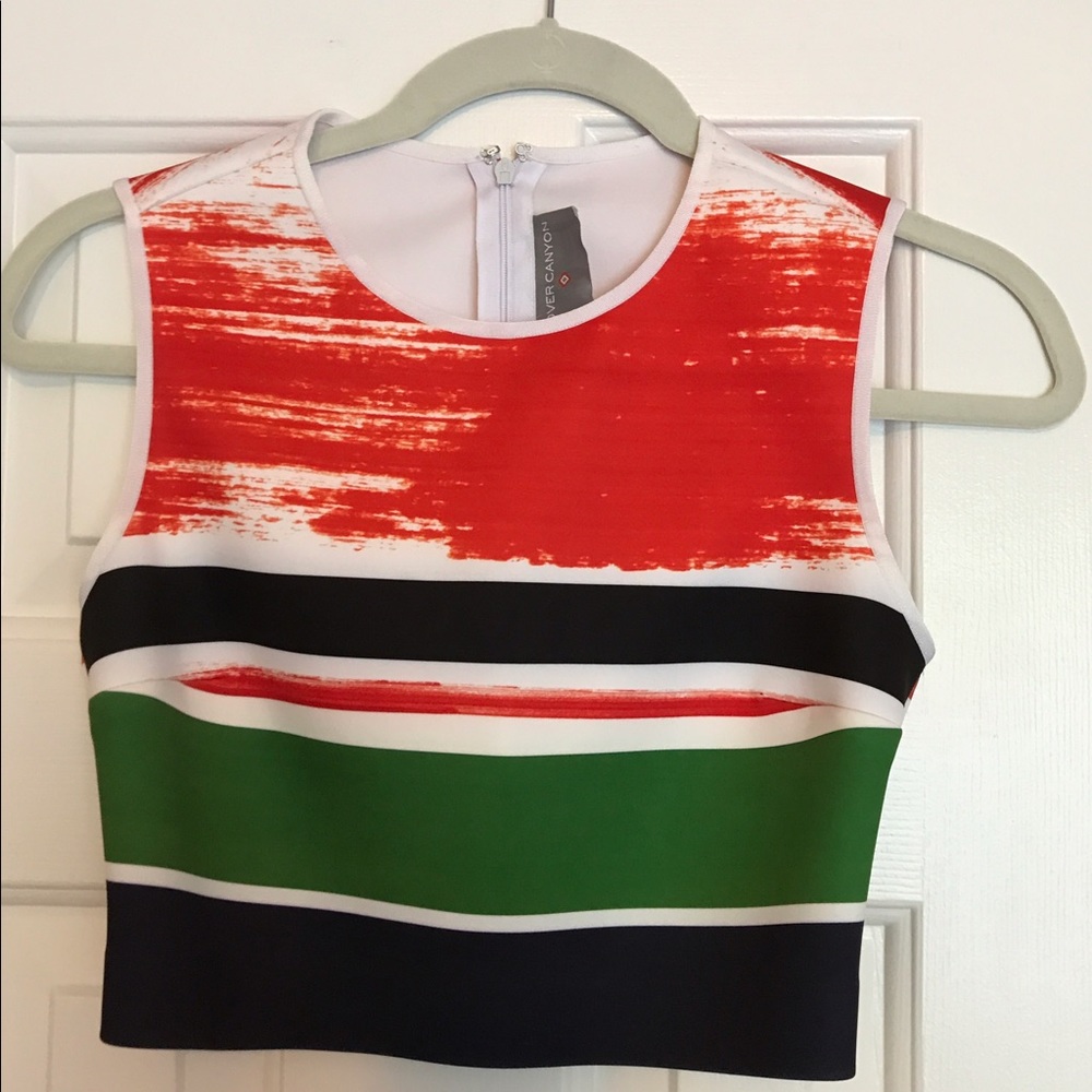 Clover Canyon stripe crop top