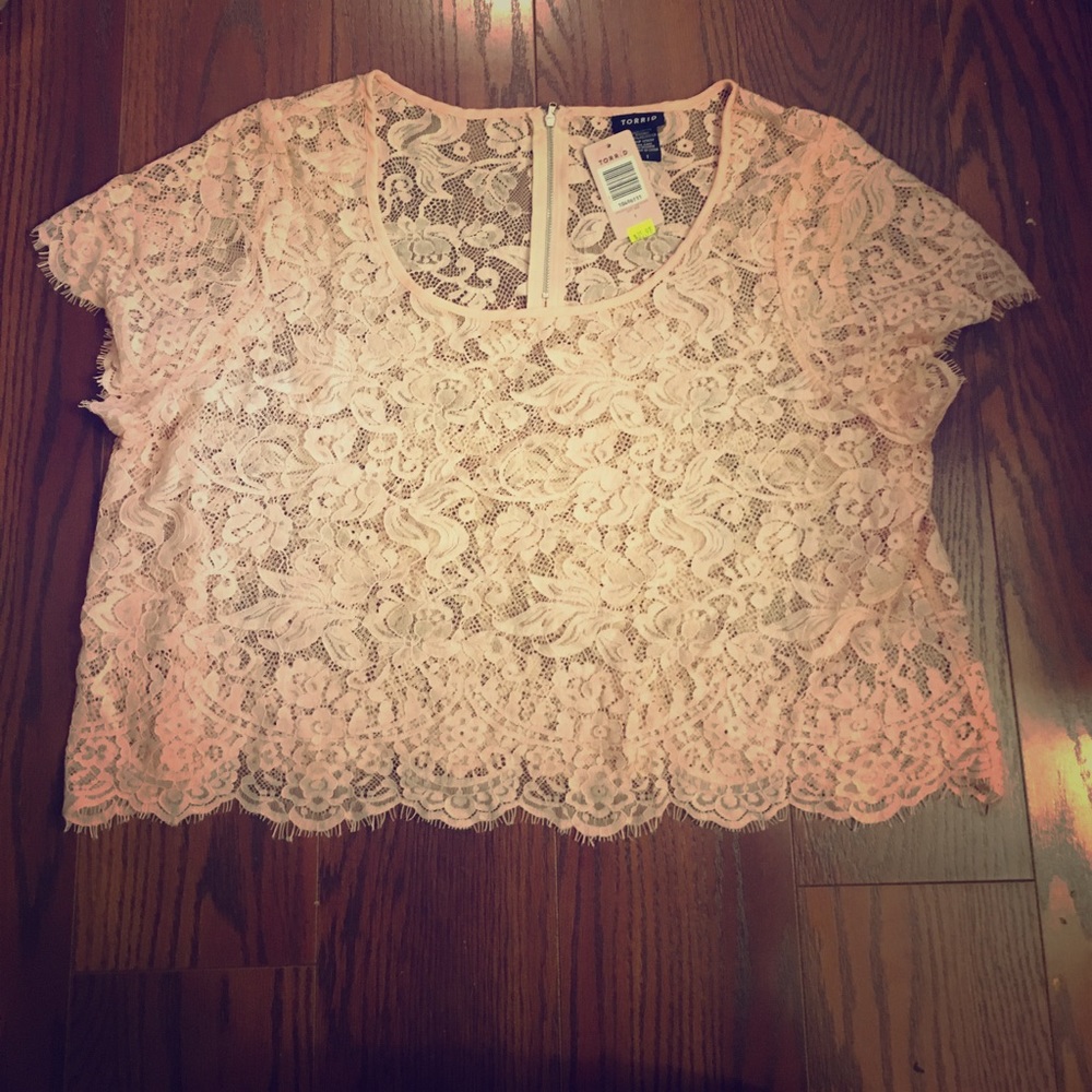 Torrid sheer blush lace crop blouse 1 1x