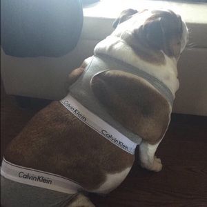 Meet your Posher, Alicia