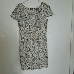 MM Couture Knit brown and white midi dress