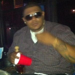 Meet your Posher, Bunnys