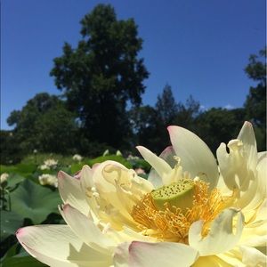 Meet your Posher, Steven