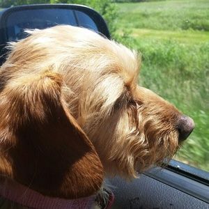 Meet your Posher, Jessica