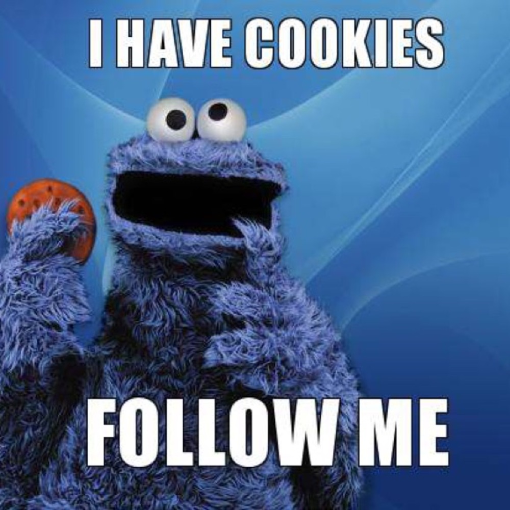 Come back! FOLLOW GAME!!! - Picture 1 of 3