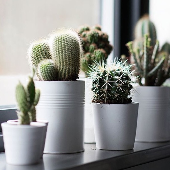 Full! Get 10% off any item/bundle for 1 hour! - Picture 3 of 4