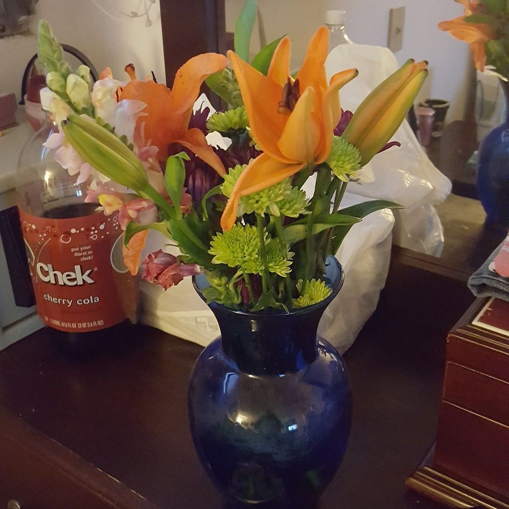 Meet your Posher, Alexis