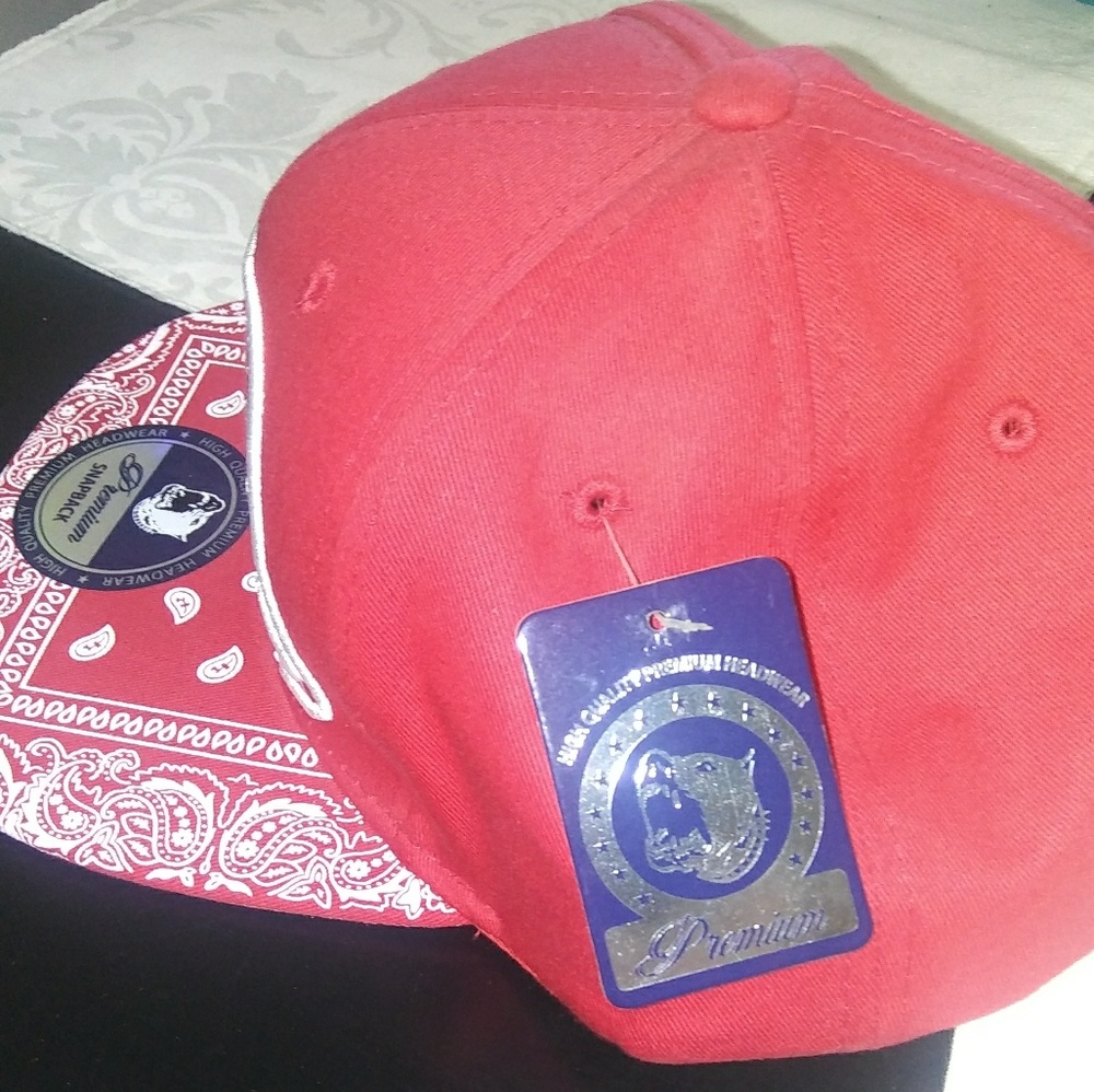 Snapback - Picture 3 of 3