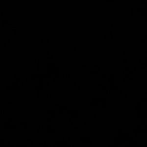 Meet your Posher, Hector