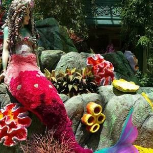 Meet your Posher, Dre