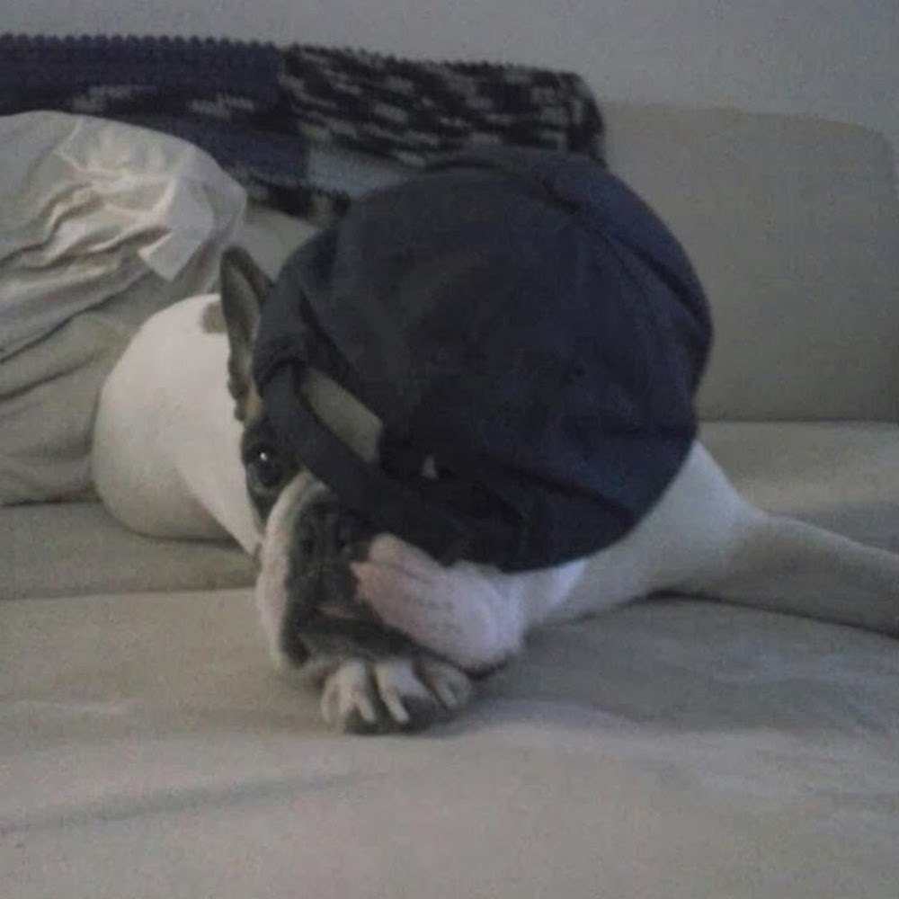 Meet your Posher, Melanie