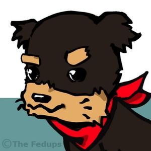 Meet your Posher, George