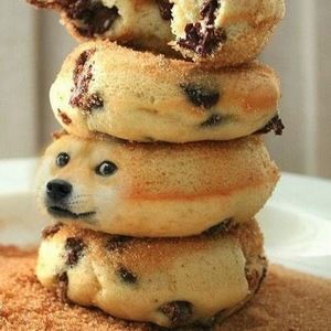 Meet your Posher, Trevor