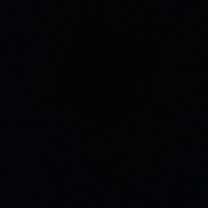 Meet your Posher, Tyson