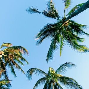 Meet your Posher, Sydney