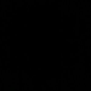 Meet your Posher, Alice