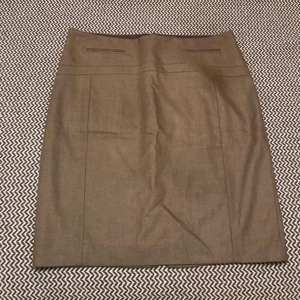 Express Pencil Skirt