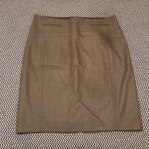 Express Pencil Skirt