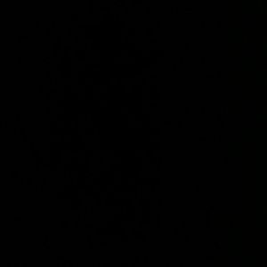 Meet your Posher, Cam