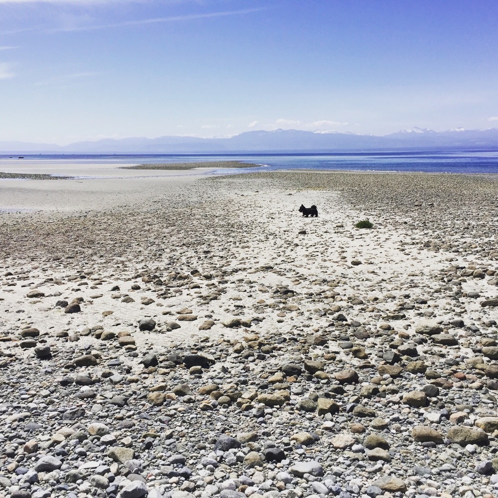 Meet your Posher, Kenzie