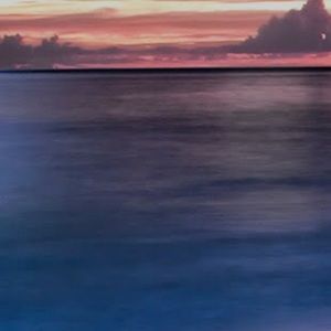 Meet your Posher, Eileen