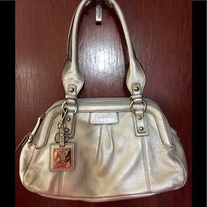 Silver Tignanello Handbag