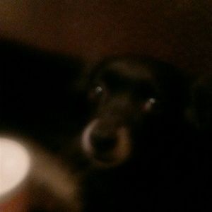 Meet your Posher, Lynn