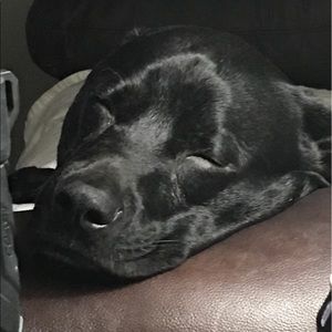 Meet your Posher, Cheryl