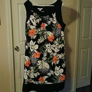 Dress barn floral/graphic
