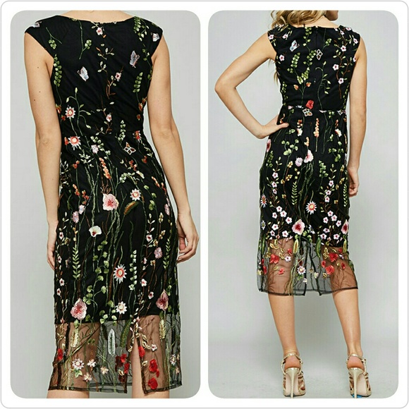 Embroidered Mesh Dress - Picture 2 of 6