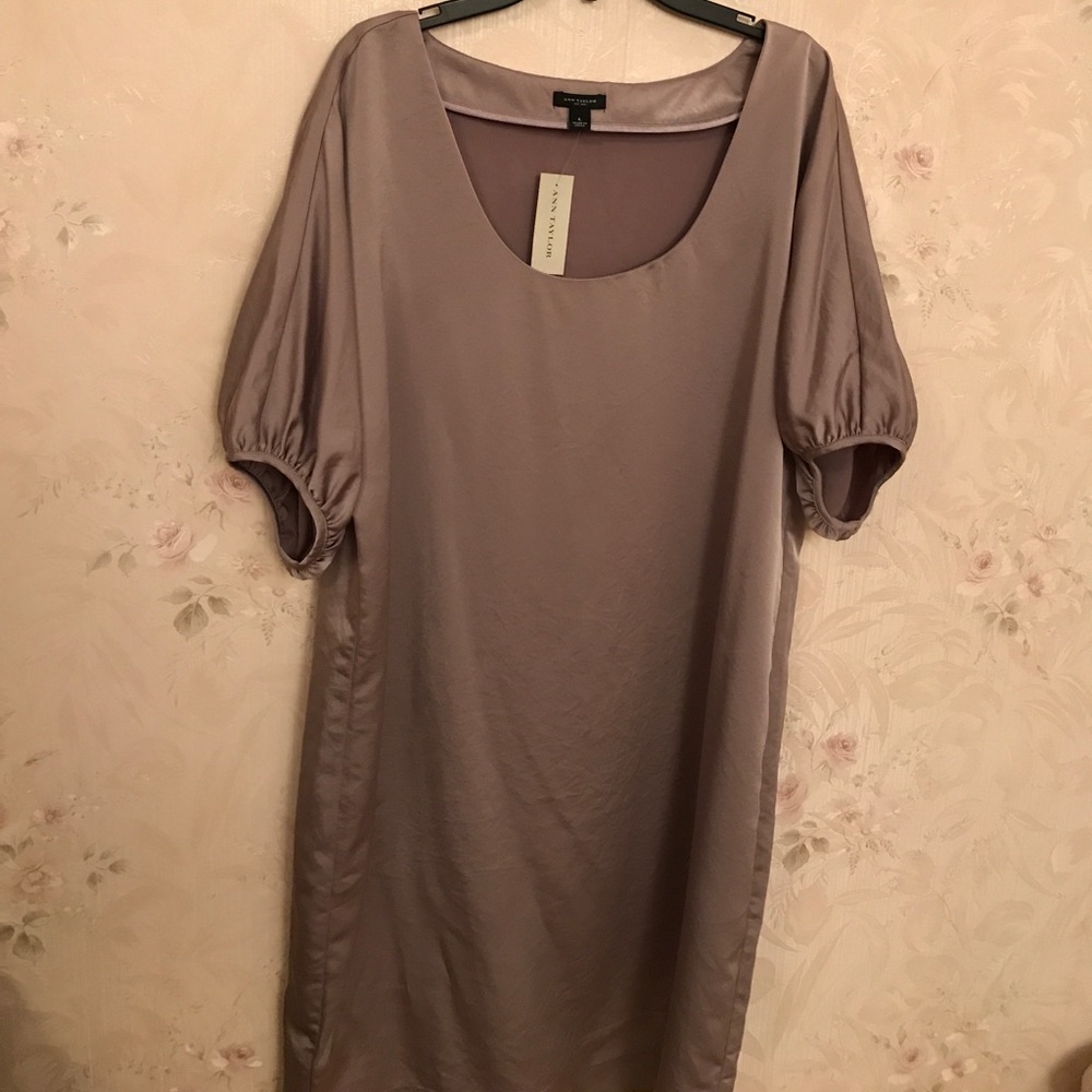 NWT Ann Taylor dress size L