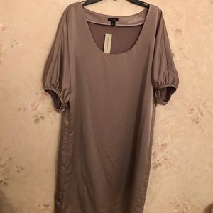 NWT Ann Taylor dress size L