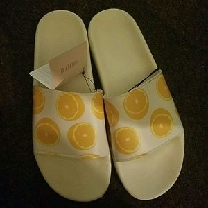 Lemon Slice Slides