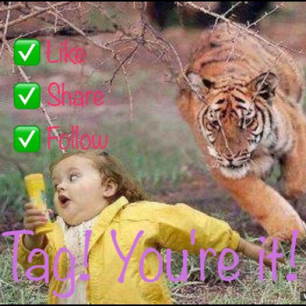 Follow Game