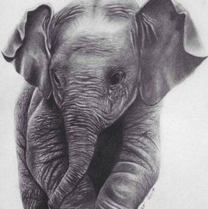 Meet your Posher, Robin