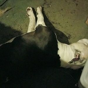 Meet your Posher, Helen