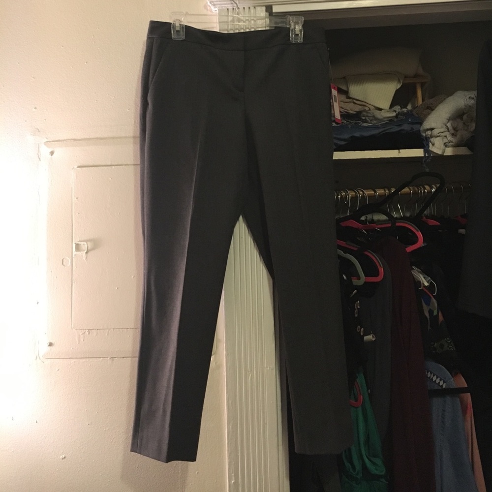 Vince Camuto Grey Pant