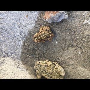 Meet your Posher, Moises