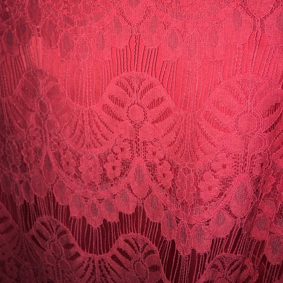 Preston & York Lace Dress - Picture 3 of 4