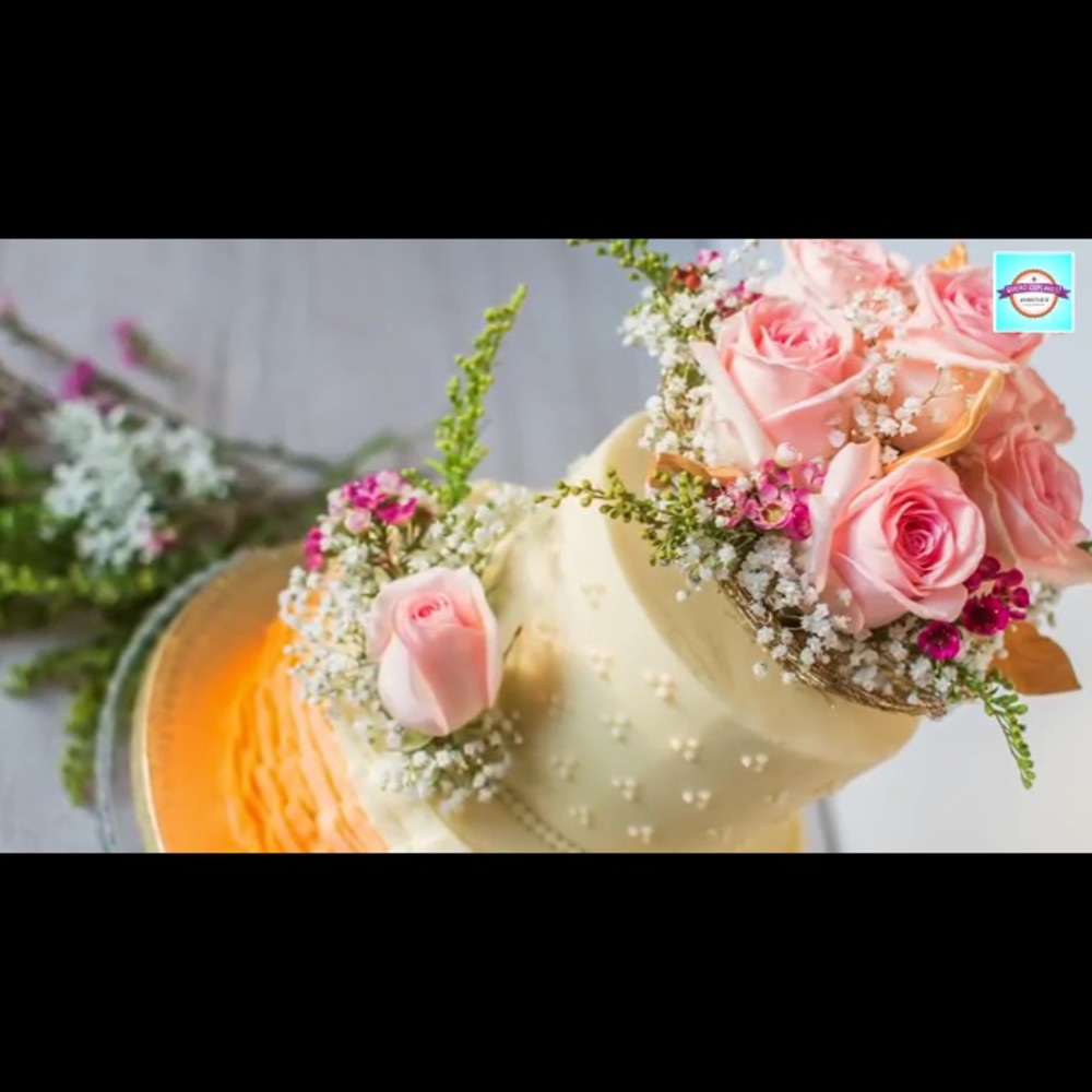 Meet your Posher, Ana